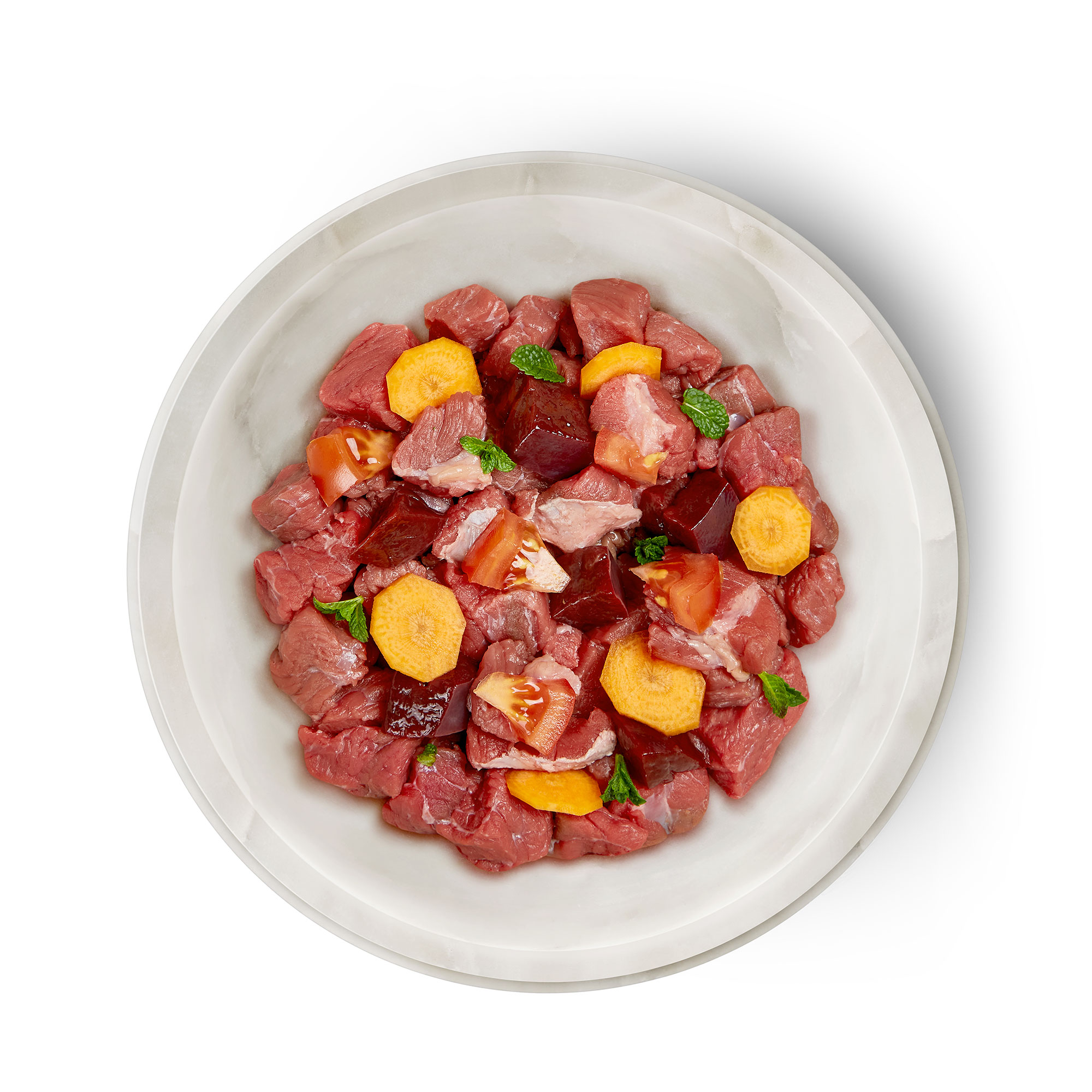 Terra Felis（テラフェリス）ビーフ ファムース モノプロテイン