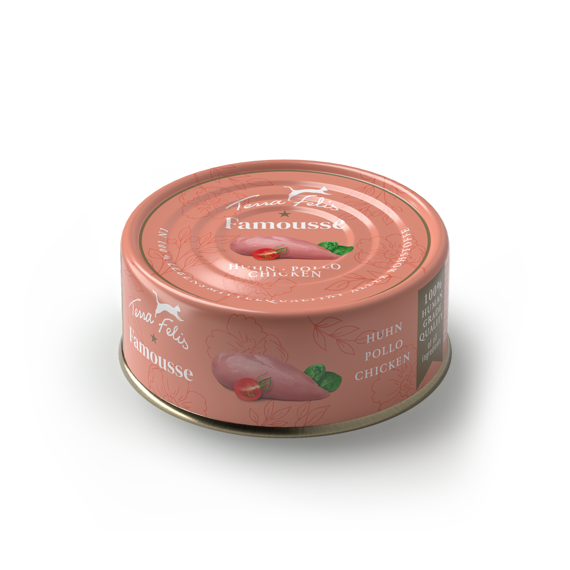 Terra Felis（テラフェリス）チキン ファムース モノプロテイン