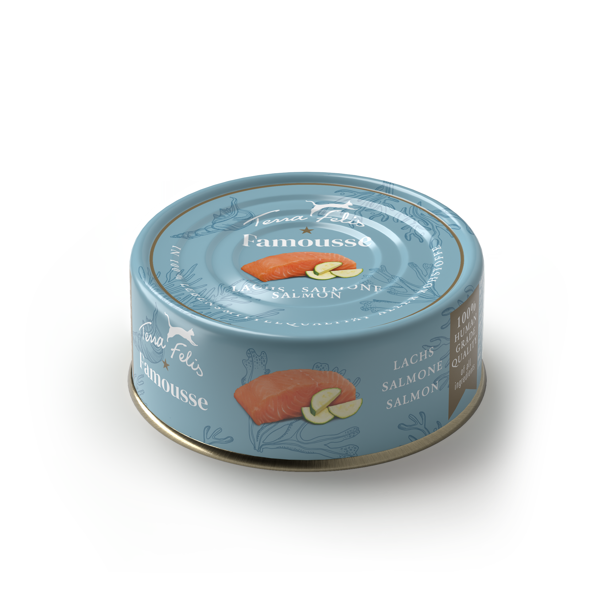 Terra Felis（テラフェリス）サーモン ファムース ファムース モノプロテイン