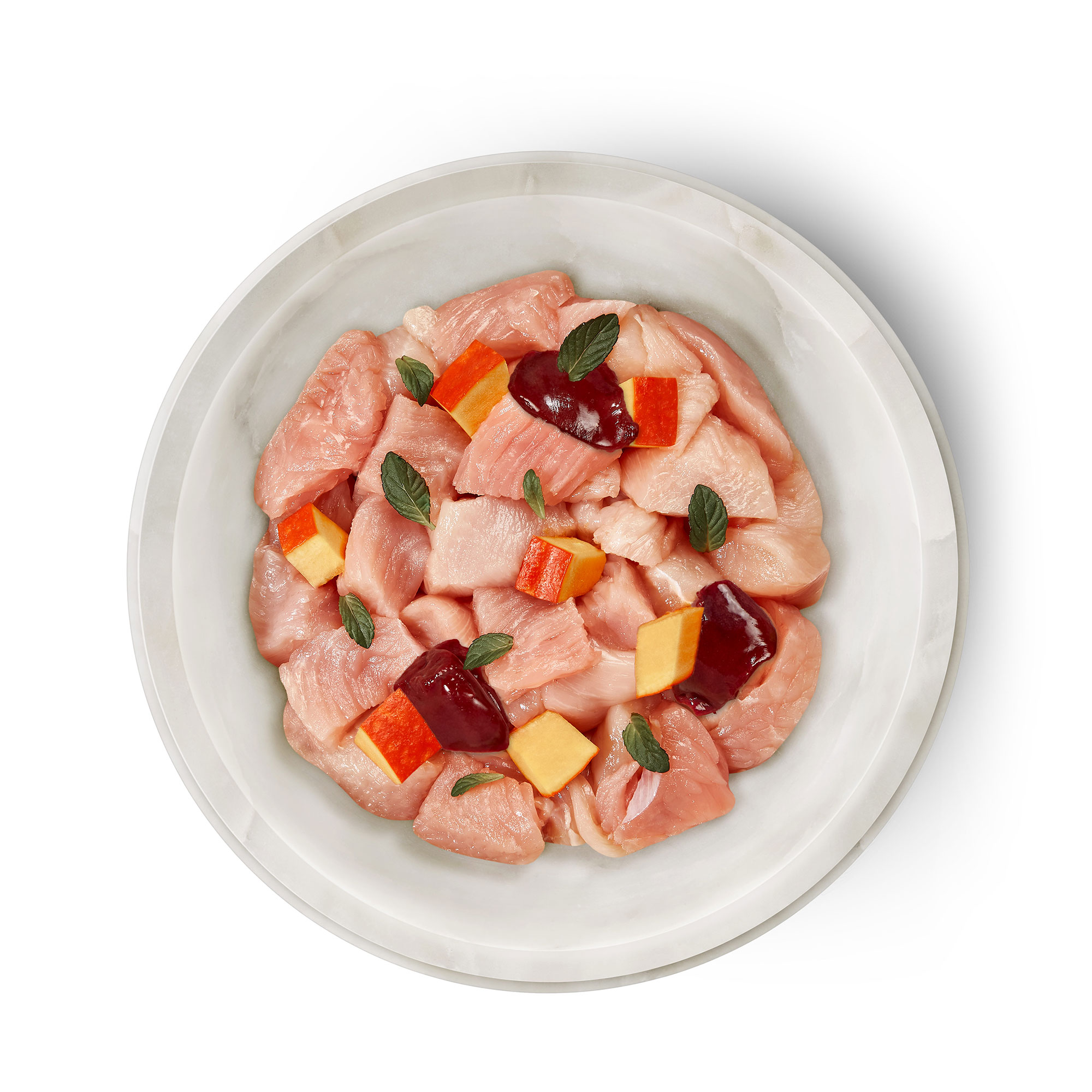 Terra Felis（テラフェリス）チキン＆ターキー ファムース マルチプロテイン