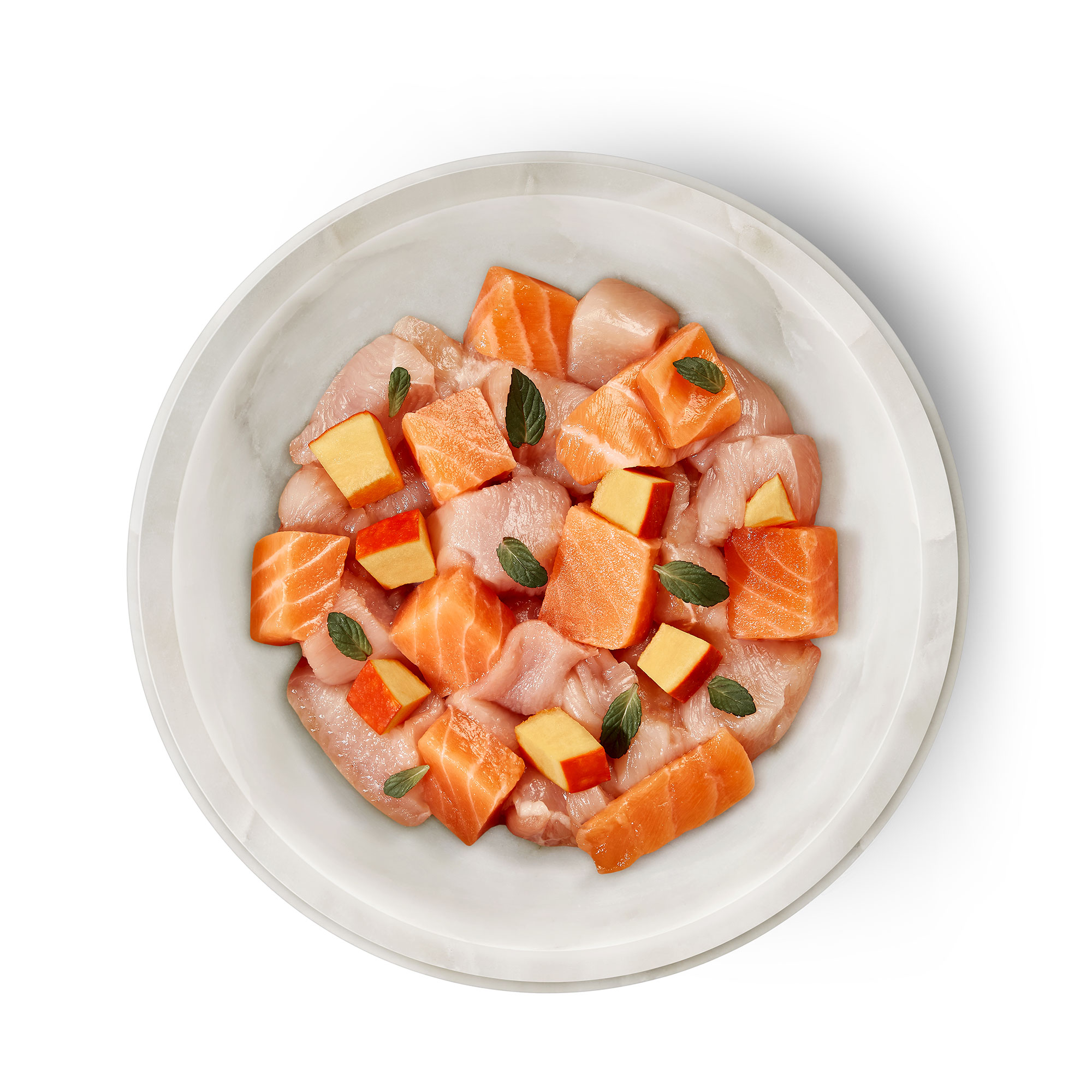 Terra Felis（テラフェリス）サーモン＆チキン ファムース マルチプロテイン